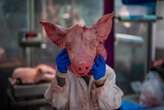 AP PHOTOS: Meat and greet: Historic London market counting down the years