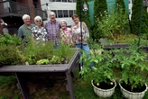 For CT senior citizens, gardening programs are 'a source of beauty'