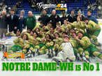 NDWH unanimous No. 1 in final ice hockey poll