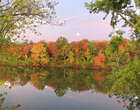 Connecticut's fall foliage expected to be bright and on time this year