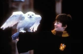 See all of the original "Harry Potter" movies at these select theaters in CT