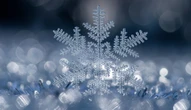 Opinion: Every winter storm is as unique as a snowflake