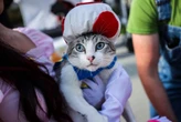 From witches to Spider-Man: This year’s most popular Halloween costumes