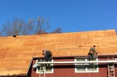 Green lichen, red flag: Insurers dropping some homeowners over roof photos