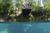 Florida's once-pristine springs threatened by pollution, development and climate change