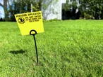 Opinion: Stop bugging out about weeds and insects