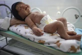 Brazil's lifelike doll craze goes from shopping malls to state legislatures