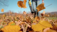 David Rafferty (opinion): New leaf laws blowing gaskets