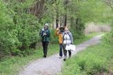 Waterbury's Mattatuck Museum raises $25K with its third annual MattaTrek hike