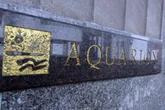 Opinion: PURA needs to reject Aquarion deal (again)