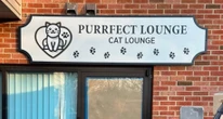 The 'Purrfect' cat lounge is opening in Plainville this weekend