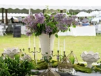 Attendees may spot Martha Stewart at CT's annual Trade Secrets garden tours