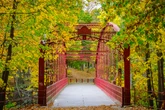 This CT spot is where to 'go off the grid' for peak fall foliage, report says