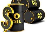 Bonny Light slides further to $69.77 per barrel on Delta variant, others