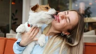 Faut-il se laisser embrasser par son chien ou son chat ? Ce que disent les experts