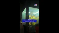 Après avoir remporté la Présidentielle en Colombie, Abelardo de la Espriella, défile derrière une vitre blindée !