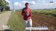 Au cœur de l'actu : Le poulailler de la discorde