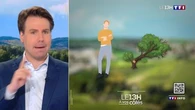 L'arbre de mon voisin tombe chez moi : qui doit l'évacuer ? Le 13H à vos côtés