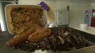 REPORTAGE - Regardez comment on transforme des restes de cantine en plastique