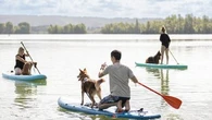 "Un vrai moment convivial" : et si votre chien vous amenait en vacances aux Canidays ?