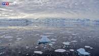 La calotte glaciaire de l'Antarctique pourrait fondre plus vite que prévu... et ce sont les poulpes qui le disent