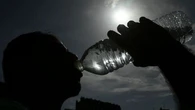 Canicule : pourquoi certains organismes souffrent plus que d'autres, même à âge égal ?