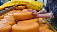 Ces fromages que vous pouvez manger même si vous êtes intolérant au lactose