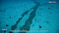 Filets de pêche fantômes : un fléau pour les fonds marins