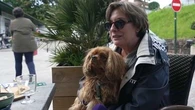 "Toutourisme" : qu'est-ce que ce label qui garantit un accueil chaleureux aux vacanciers propriétaires de chien ?
