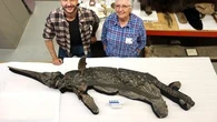 Le "dragon-épée", une nouvelle espèce de reptile marin préhistorique identifiée