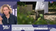 Alba en liberté : Ilan Halimi, les arbres hommages se multiplient