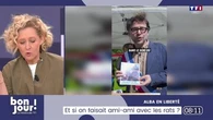 Alba en liberté : Et si on faisait ami-ami avec les rats ?