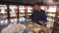 Week-end aux Sables-d'Olonne : coquillages et crustacés