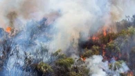 "Ça pénètre très loin au niveau des poumons, ça va dans le sang" : un médecin alerte sur les dangers d'inhaler les fumées des incendies de forêt