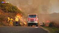 VIDÉO - Incendie en Haute-Corse : 230 hectares brûlés, le vent complique le travail des pompiers