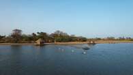 VIDÉO - Voyage au Sénégal, à la découverte des trésors de la mangrove