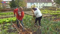 Haut-Rhin : Les Jardins du Cœur, la générosité dès le potager