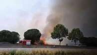 VIDÉO - Incendie à Argelès-sur-Mer : trois campings évacués et dix hectares brûlés