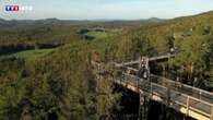 VIDÉO - Forêt des Vosges : voyage perché parmi les cimes et les nuages