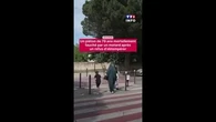 Avignon : un piéton de 79 ans mortellement fauché par un motard après un refus d'obtempérer