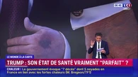 "La transparence n'est pas du tout de mise dans l'administration Trump" : l'état de santé du président américain est-il vraiment "parfait" ?
