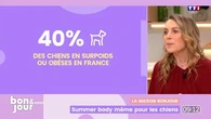 La maison Bonjour : Summer body même pour les chiens