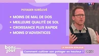 La maison Bonjour : Comment cultiver son potager en hauteur ?