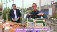 La maison Bonjour : Comment avoir le plus beau des gazons ?