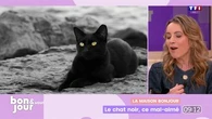 La maison Bonjour : Le chat noir, ce mal-aimé