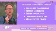 La maison Bonjour : Réussir ses tomates en septembre