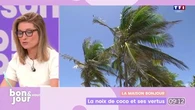 La maison Bonjour : La noix de coco et ses vertus