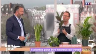 La maison Bonjour : Cinq plantes pour être heureux au travail