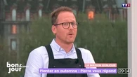 La maison Bonjour : L'ail violet, le gardien du potager