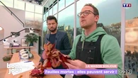 La maison Bonjour : Feuilles mortes, elles peuvent servir !
